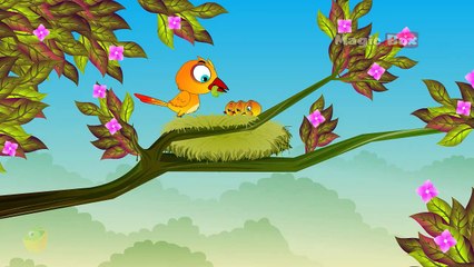 Animal Stories Compiled Nursery Rhymes - Chellame Chellam - Cartoon/Animated Tamil Rhymes