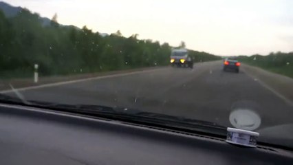 Otostop Çekip Yemek İsteyen Ayı