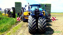 New Holland T7030 Trike / Ferrari Multipla 12-rij | Knolselderij planten, Planting Celeriac