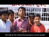 Street Animal Rescues with Animal Aid