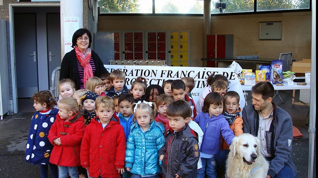 13èmes Journées Citoyennes Institut Sévigné à Compiègne Montage Photos