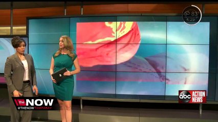 Sky diver speaks after mid-air collision