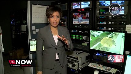 The Now Tampa Bay explains Tarpon Springs sinkhole