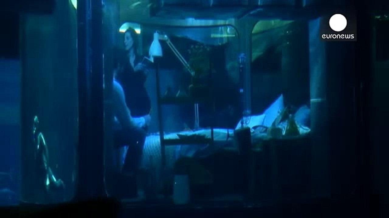 Dormir autour de 35 requins, c'est possible