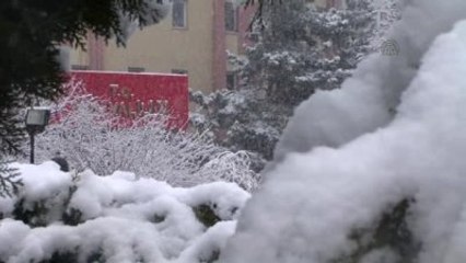 Van'da Yoğun Kar Yağışı