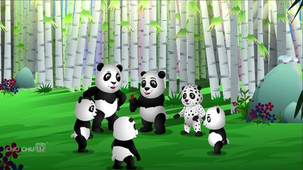 Finger Family Panda | ChuChu TV Animal Finger Family Songs & Nursery Rhymes For Children