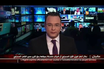 دبلوماسية  سفراء يتحدثون..الجزائر بلد آمن