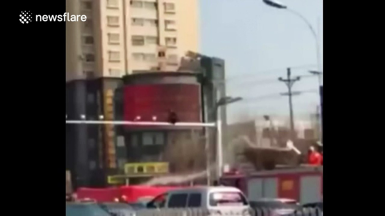 Man gets stuck on top of speed camera, gets shot down by water cannon