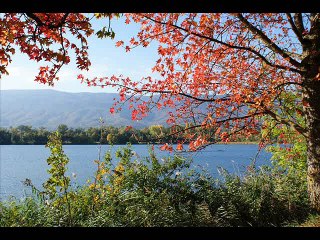 amitie pour toujours