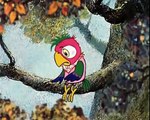Возвращение блудного попугая (выпуск 1)