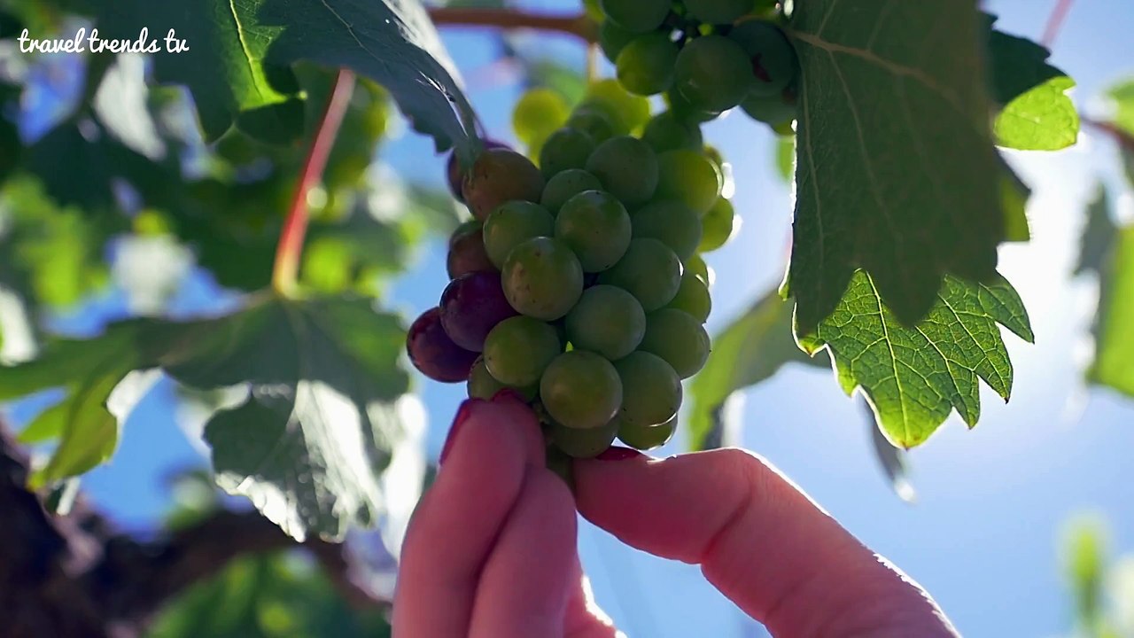 “Good Hope” the soul of South Africa - Travel Trends TV Video #001