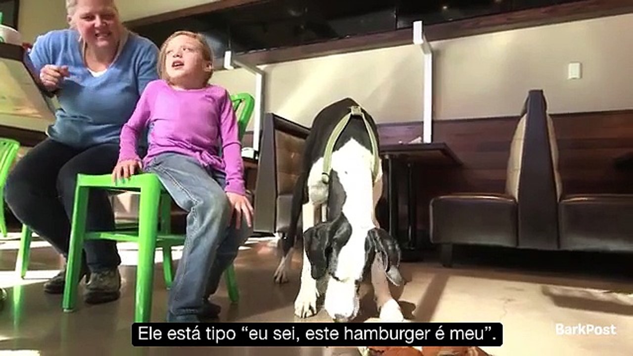 cao Best Day legendado - George