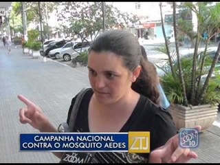 15-02-2016 - CAMPANHA NACIONAL CONTRA O MOSQUITO AEDES - ZOOM TV JORNAL