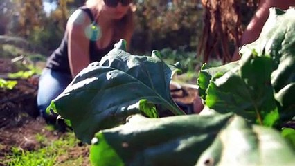 Let Us Eat: a documentary about access to sustainable food