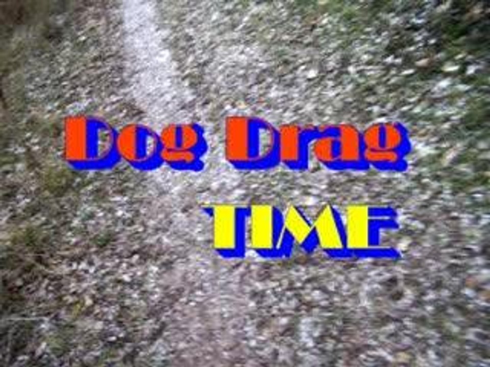 mtb dog dragging