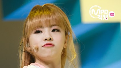 오마이걸 진이 직캠 Liar Liar 엠카운트다운_160331
