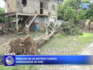 Ventarrón arrancó techos de viviendas