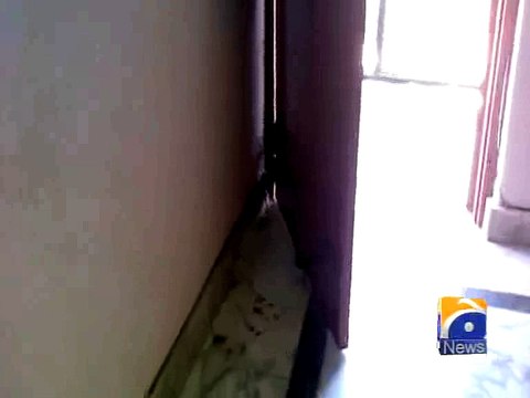 Peshawar announces head money for killing rats, each dead rat worth Rs. 25 -31 March 2016