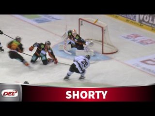 Der neue Beskorowany heißt Niederberger - thumbnail