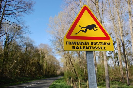 [VIP] Crapauds : sauvons ces obsédés sexuels !