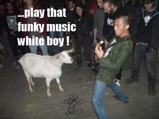 Play That Funky Music