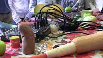 Lutherie sur fruits et légumes frais