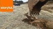 Heartstopping Rescue of Baby Deer Trapped in Mud