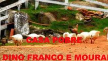 CASA POBRE DINO FRANCO E MOURAI  Dino Franco