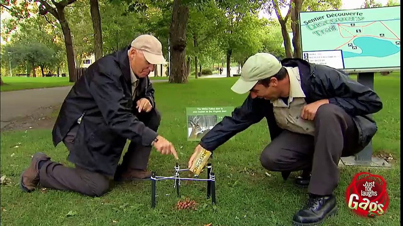 Deer Poop Interpretation Prank