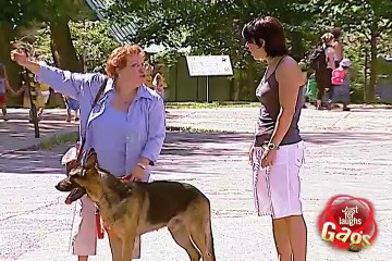 Dog Bites Jogger's Butt