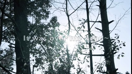 Say Something (I'm Giving Up On You) (0)