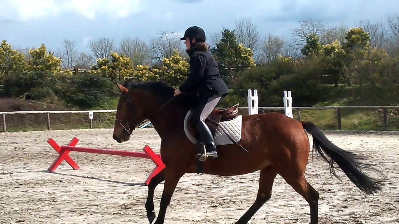 Ponette catimini