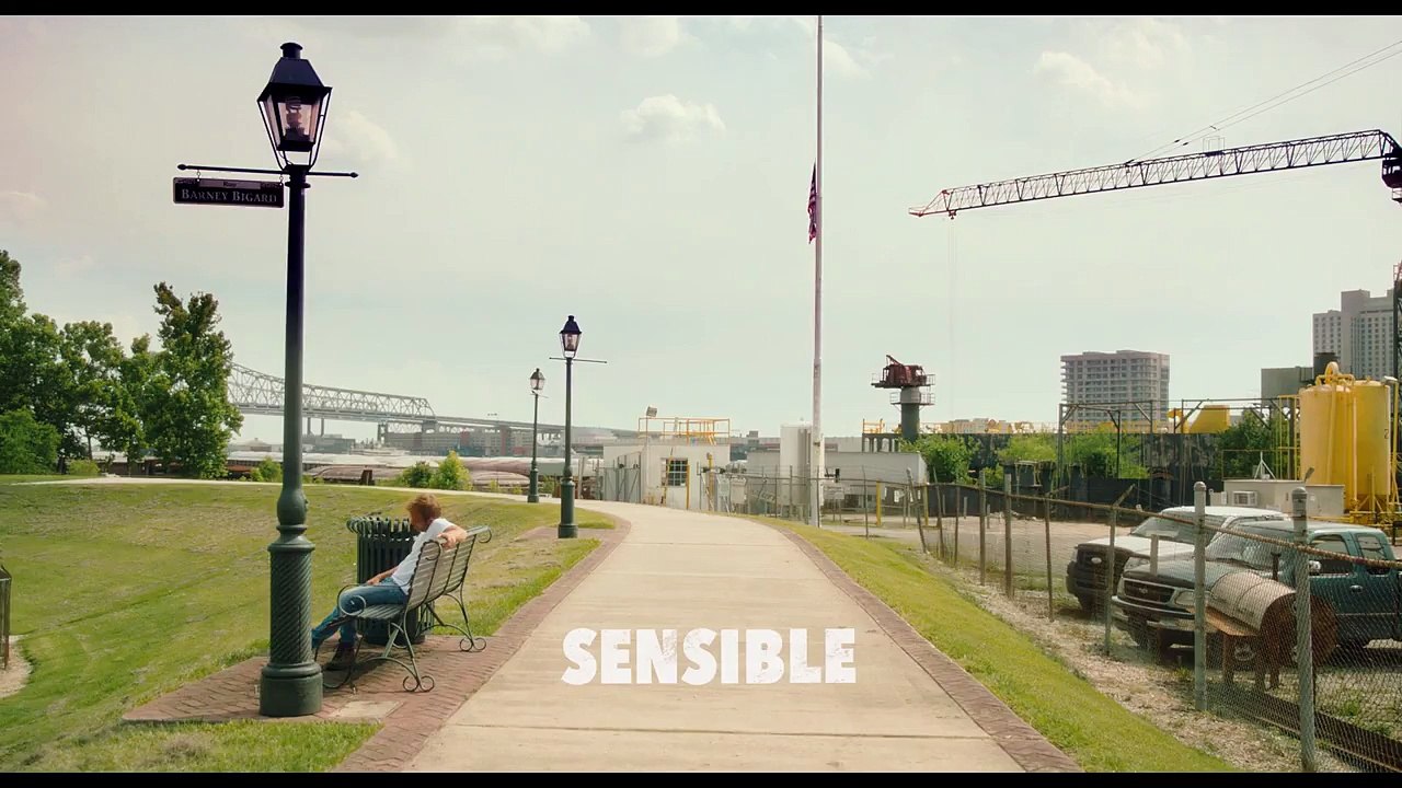 American Hero - MELVIN, UN SUPER-HÉROS SENSIBLE [HD, 720p]