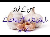 garlic the health benefits of garlic