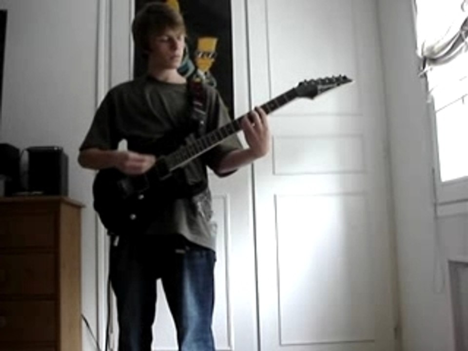 Fat lip (sum 41 ) david cover