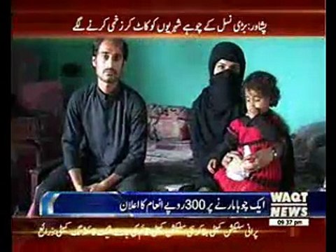 Peshawar administration fixes Rs25 'head money' for killing Rats