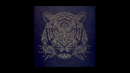 Stephen Farris - Unborn Child