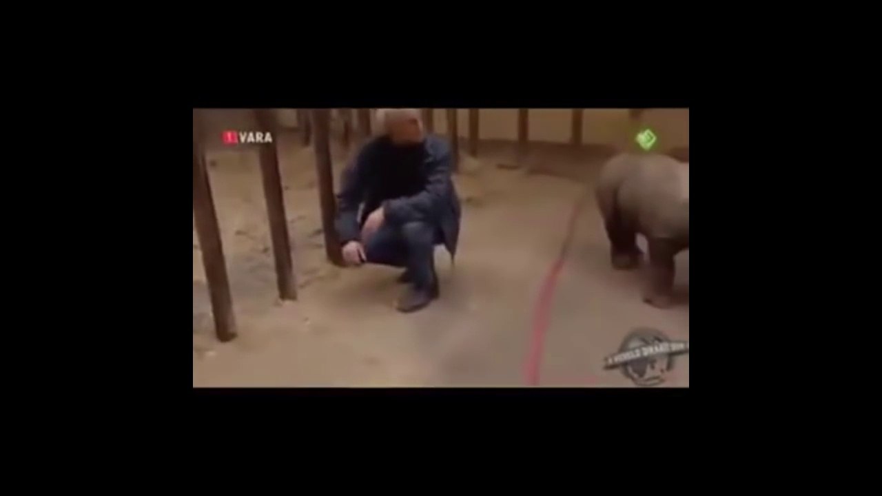 Funny Videos 2016 - Try Not To Laugh Or Grin Watching This! (Challenge Impossible)