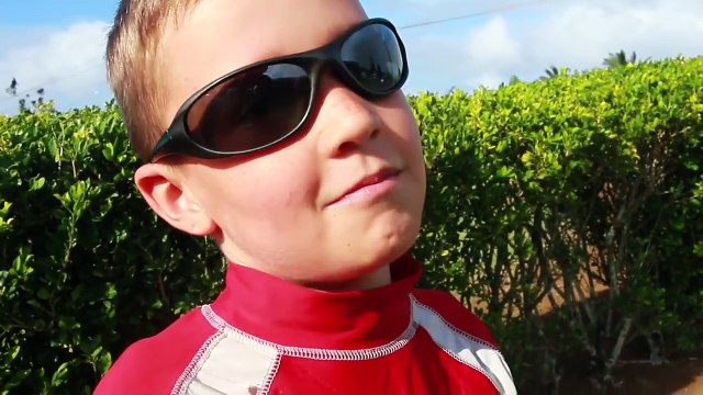 SWIMMING WITH SHARKS! Scary Real Sharks in Shark Cage Tour Day In the Life Family Fun