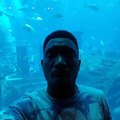 See Inside The Dubai Aquarium & Underwater Zoo