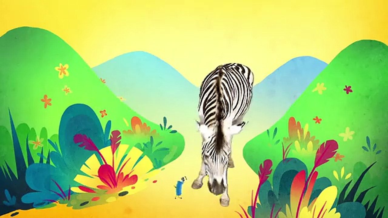 Animal Songs He's a Zebra,  by Hello Channel