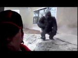 Monstrous gorilla tries to attack zoo visitor through glass