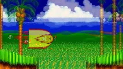 Fire Sonic 2 vs Hyper Shadow
