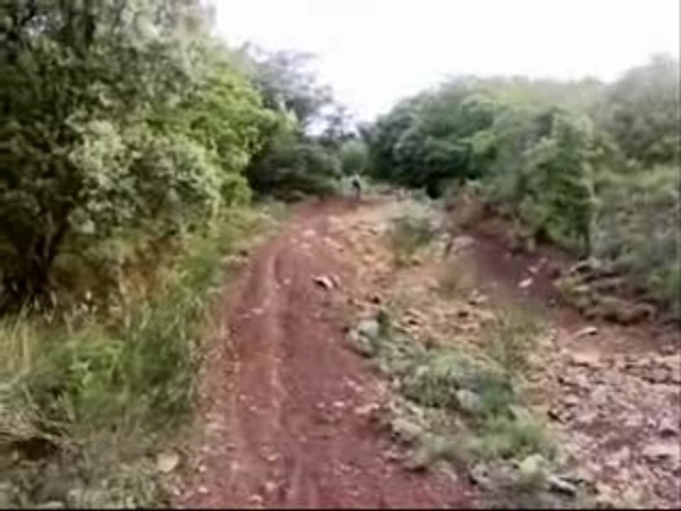 un lorguais sur les hauteurs du thoronet!!!!!