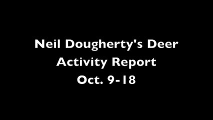 Deer Hunting: Whitetail Activity Report