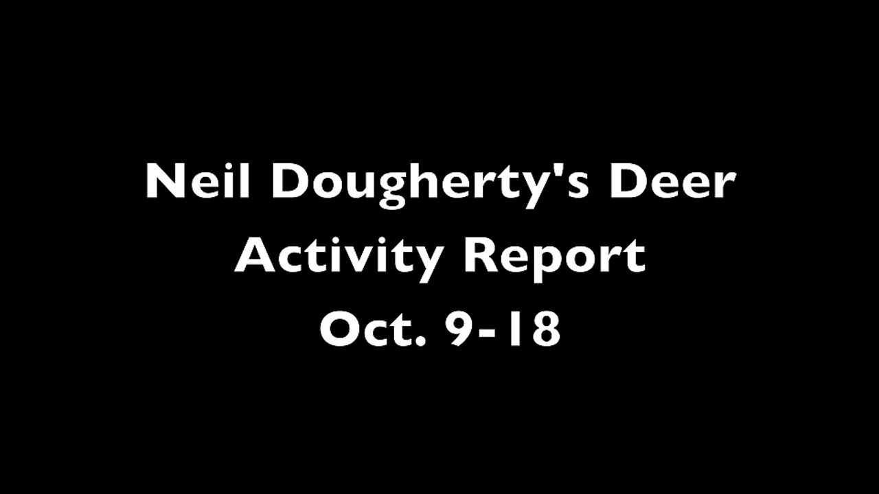 Deer Hunting: Whitetail Activity Report