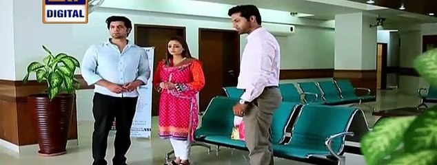 Gudiya Rani Episode 190 on Ary Digital