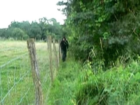 saut dans les buissons 8