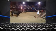 worldnews Daring man takes on raging bull and has terrible consequences FULL HD -