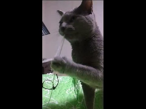 서대문출장안마 ☏010-4931-1169☏출장마사지☝ 서대문출장마사지